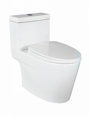 S-trap one piece toilet P11-001 WH