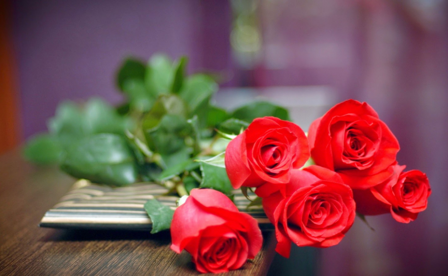 Tự làm hoa hồng bằng giấy tặng người phụ nữ yêu quý