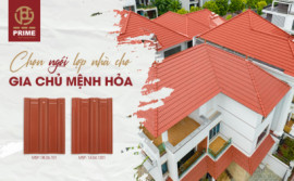 Choose roof tiles for the owner of the Fire par